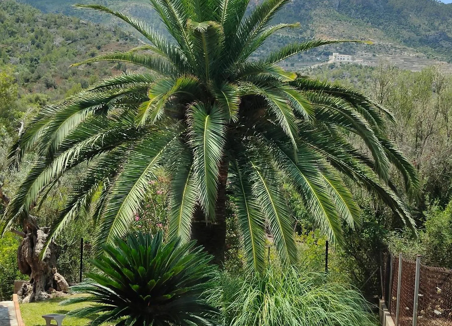 Nyaraló Villa Capllonch Banyalbufar