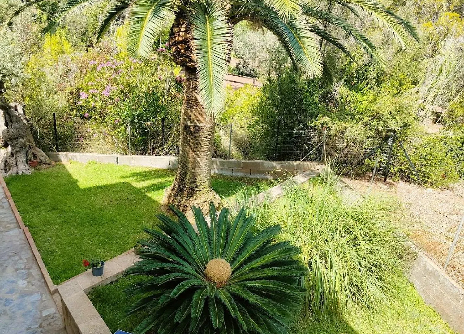 Villa Capllonch Banyalbufar Nyaraló